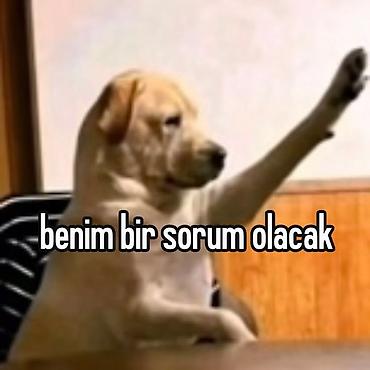 savalanda kiraye ev: Salam. Hazırda kirayə evdə qalan və evinə 1-2 nəfər tələbə — 2