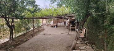 Köhnə tikili: Şirvan, 2 otaqlı, Köhnə tikili, 50 kv. m — 3