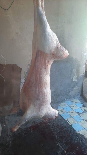 сколько стоит 1 кг красной икры: Баранина : Более 10 кг