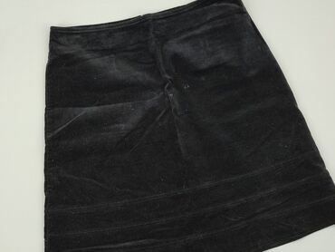 spódnice biale: Skirt, XL (EU 42), condition - Good