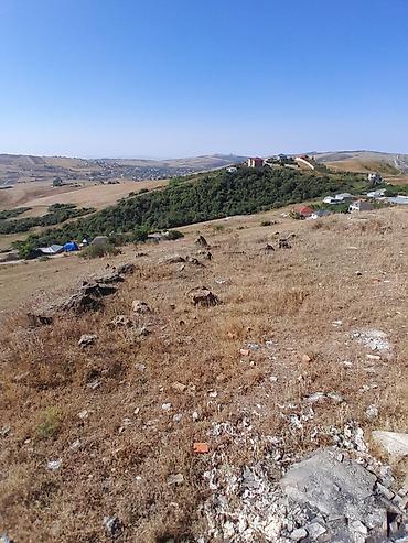 ev elanlari kirayə: 12 sot, Tikinti, Barter mümkündür, Kupça (Çıxarış) — 4