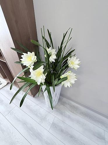 Посуточная аренда квартир: 3 комнаты, Банные принадлежности, Интернет, Wi-Fi, Кондиционер — 21