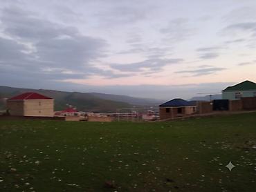 Torpaq: 2 sot, Tikinti, Mülkiyyətçi, Kupça (Çıxarış) — 4