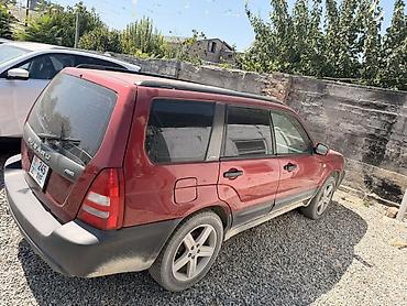 forest: Subaru Forester: 2003 г., 2.5 л, Механика, Бензин, Универсал — 2