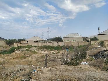 gence emlak alqi satqi: 6 sot, Tikinti, Mülkiyyətçi, Kupça (Çıxarış) — 6