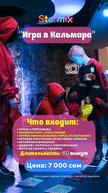 Организация мероприятий: Аниматоры Starmix— яркие детские программы для любого мероприятия — 13