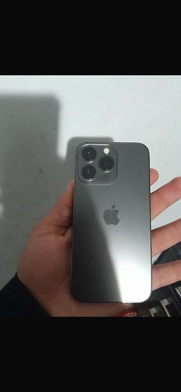 Apple iPhone: IPhone 13 Pro, Черный, Чехол, 77 % — 8