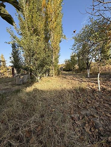 купить бункер: 📍 В Сокулуке ( село Арал ) продается дом на участке 16 соток. 🏡Дом — 3