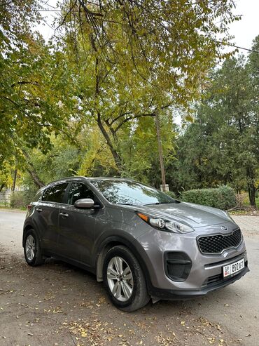 консоль гольф 4: Kia Sportage: 2018 г., 2.4 л, Автомат, Бензин, Внедорожник