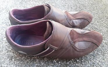 Cipele: Cipele, Lacoste, veličina - 41 — 9