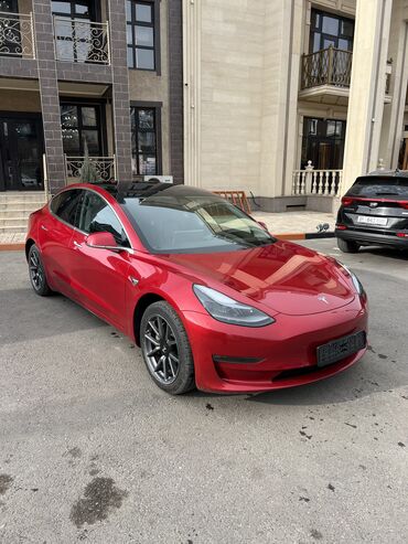Tesla: Tesla Model 3: 2019 г., 5.5 л, Автомат, Электромобиль, Седан — 2