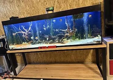 stalak za akvarijum: POLICE ZA AKVARIJUME PO MERI X556 | Izrada po meri Dezen ploče po — 4