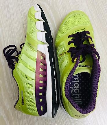 Кроссовки и спортивная обувь: Оригинальные беговые кроссовки Adidas Climachill. Размер указан на — 2