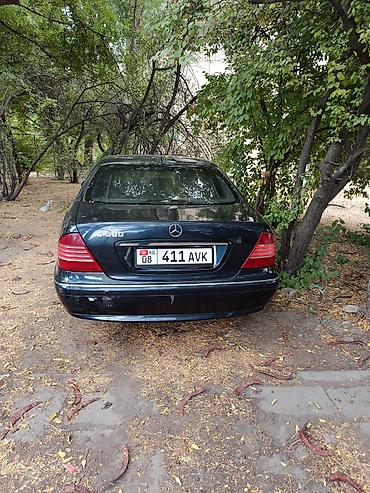 машина 70000: Mercedes-Benz S-Class: 2001 г., 5 л, Автомат, Бензин, Седан — 4