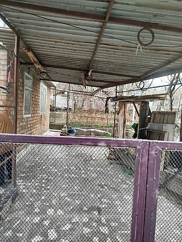 Продажа дач: Продаётся дача, с/о Горное (выше Сары-Джон). Участок 4 сотки. Объект — 9