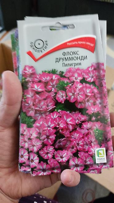Другие виды семян и саженцев: Продаю чернозем в мешках,земля для цветов,чернозем для роз,чернозем — 15