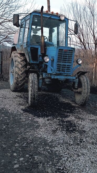 traktor mtz 80: Mtz 80 satılır 4 dene teze Teker mator saz karobka teze heçbir