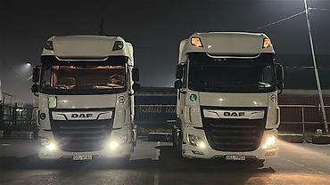 Тягачи: Тягач, DAF, 2019 г., Без прицепа — 14