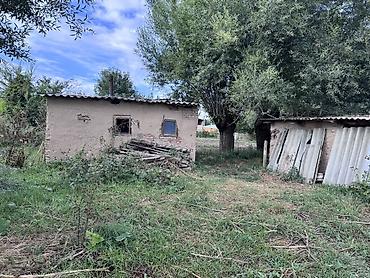 well home: Продается большой 5-комнатный дом в селе Каракол!* Просторный — 8