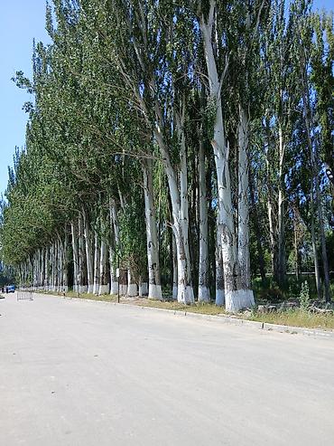 аренда гостевого дома: 2 комнаты, Без животных, от 6 месяцев, С мебелью частично — 3