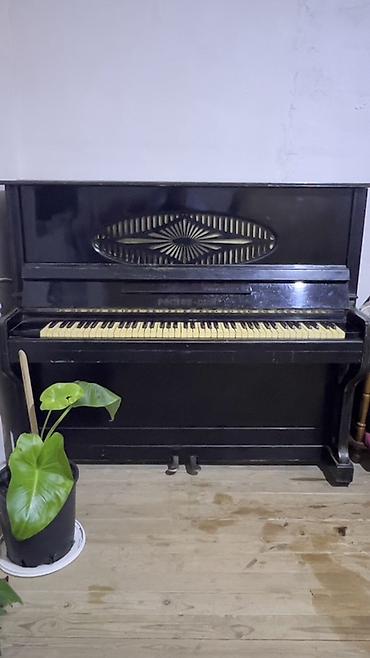 Musiqi alətləri: Rostov-Don şaquli piano - Tip: akustik, şaquli piano - Brend/model — 1