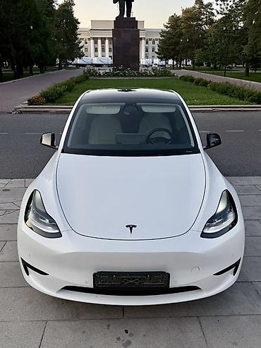 авто элек: Tesla Model Y: 2023 г., Электромобиль, Кроссовер — 1