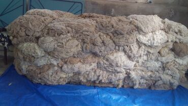 Yun: Yun satişi satışda yuyulmuş şamaxı yunu var qiymətlər keyfiyyətə — 10