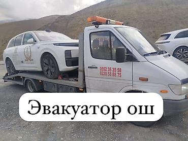 С лебедкой