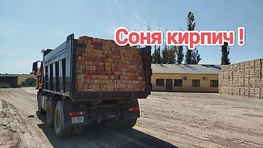 Полнотелый, таблетка, Жженый кирпич, Одинарный, 250×120×65
