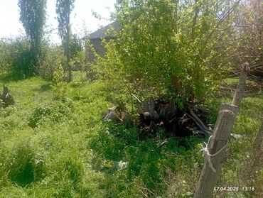 xacmaz ev alqi satqi: 12 sot, Kənd təsərrüfatı, Maklerlər narahat etməsin, Kupça (Çıxarış)