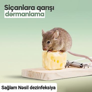 Dezinfeksiya, dezinseksiya: Dezinfeksiya, dezinseksiya | Tarakanlar, Ağacları çiləmə, Taxtabiti | Ofislər, Mənzillər, Evlər — 6