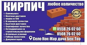 с сушкой: Пустотелый, дырчатый, Жженый кирпич, Полублок, 250×120×90 — 2