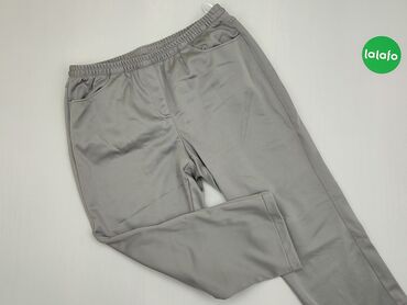 Spodnie: Spodnie, L (EU 40), stan - Bardzo dobry, wzór - Jednolity kolor, kolor - Szary