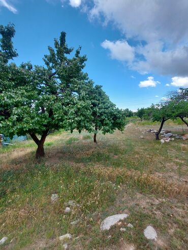 Продажа участков: 6 соток, Для сельского хозяйства, Красная книга — 7