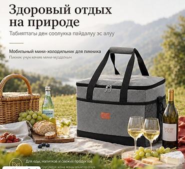 детский куллер: Дорожная термосумка Weyoung B-805 — практичное решение для перевозки — 2