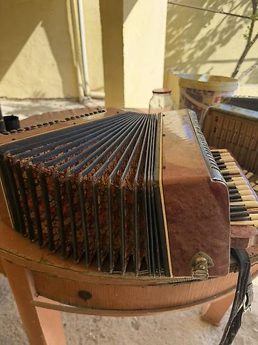 akkardion: Harmonik/akkordeon dəstləri - Alət tipi: dilçəkli harmonika — 1