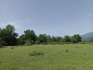 Torpaq sahələrinin satışı: 12 sot, Tikinti, Mülkiyyətçi, Kupça (Çıxarış) — 2