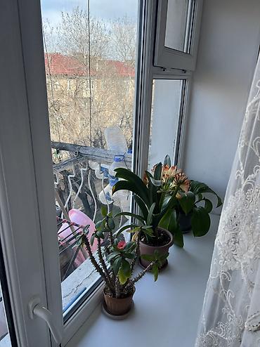 Продажа квартир: 2 комнаты, 46 м², 104 серия, 4 этаж, Косметический ремонт — 12