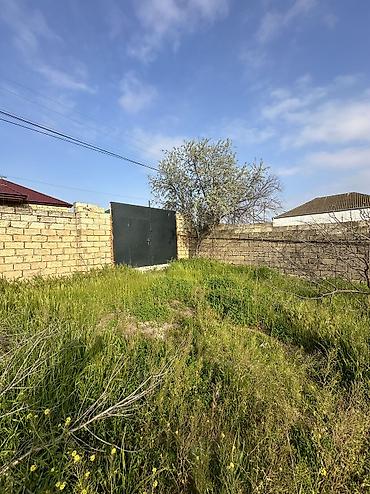 baki torpaq: 6 sot, Tikinti, Maklerlər narahat etməsin, Kupça (Çıxarış) — 1