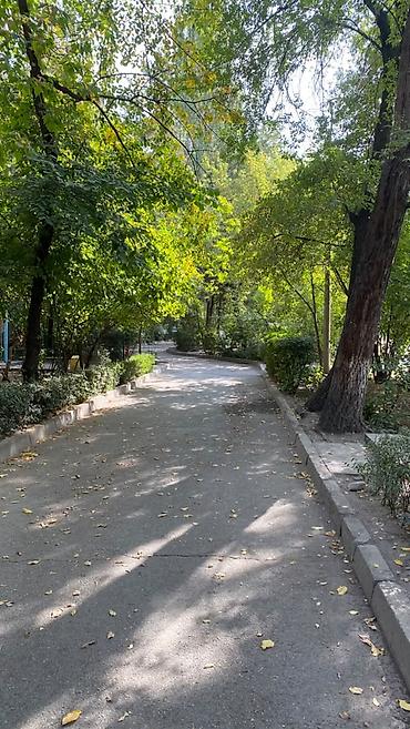 Продажа квартир: 1 комната, 38 м², Центральная мечеть 105 серия, 5 этаж, Требуется ремонт — 7