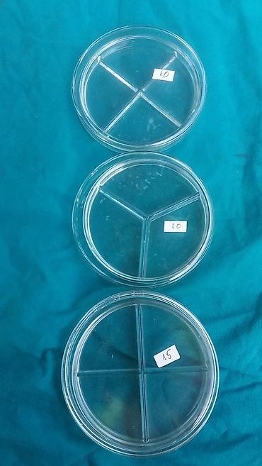 Medicinska oprema: Petri šolje za borere — 29