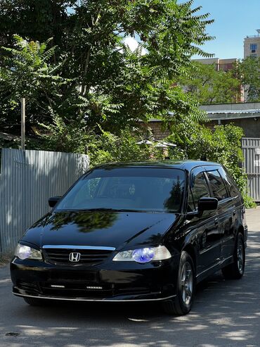 туманка одисей: Honda Odyssey: 2001 г., 2.3 л, Типтроник, Бензин, Вэн/Минивэн