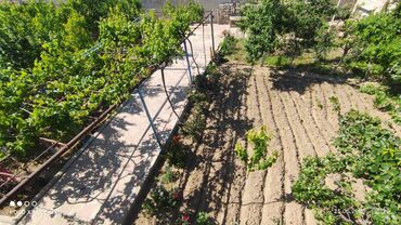 Həyət evləri və villaların satışı: 7 otaqlı, 250 kv. m — 19