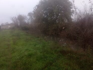 Torpaq sahələrinin satışı: 400 sot, Kənd təsərrüfatı, Maklerlər narahat etməsin — 9