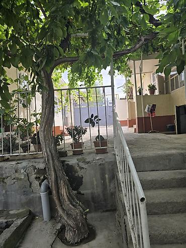 Навесы: Навес, Другая форма, Дерево, Другой материал — 7