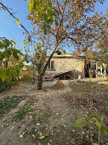Продажа коттеджей и домов: 6 комнат и более, 160 м², 500 соток, Ала-Тоо, Собственник — 16