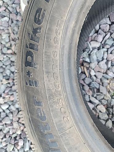 подушка ист: Зимние шины Hankook Winter i*Pike (шипуемые), размер 205/60 R16 96T — 4