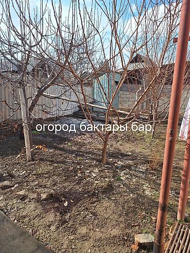 Продажа коттеджей и домов: Продается жилой дом с большим крытым двором и гаражом. Основные — 8