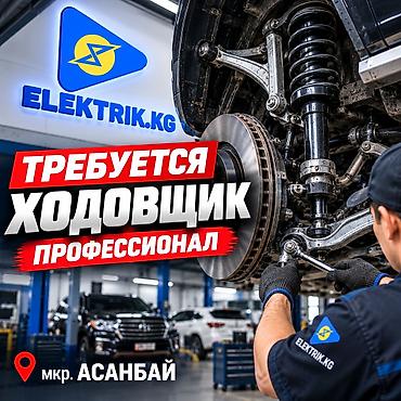 электрики 247: Требуется работник, Процент от дохода, Оплата: Ежедневно, Более 5 лет опыта, Оформление по патенту, ЧП — 1