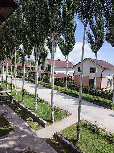 Иссык-Куль 2026: Коттедж, Л ЦО Лазурный берег, Чок-Тал, Детская площадка, Парковка, стоянка, Охраняемая территория — 10